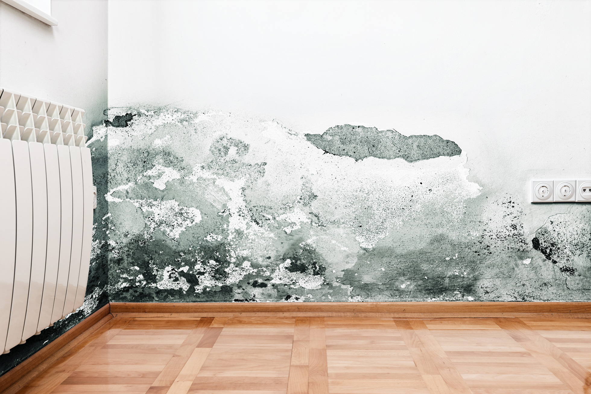 Basement waterproofing and conversions across the East Midlands