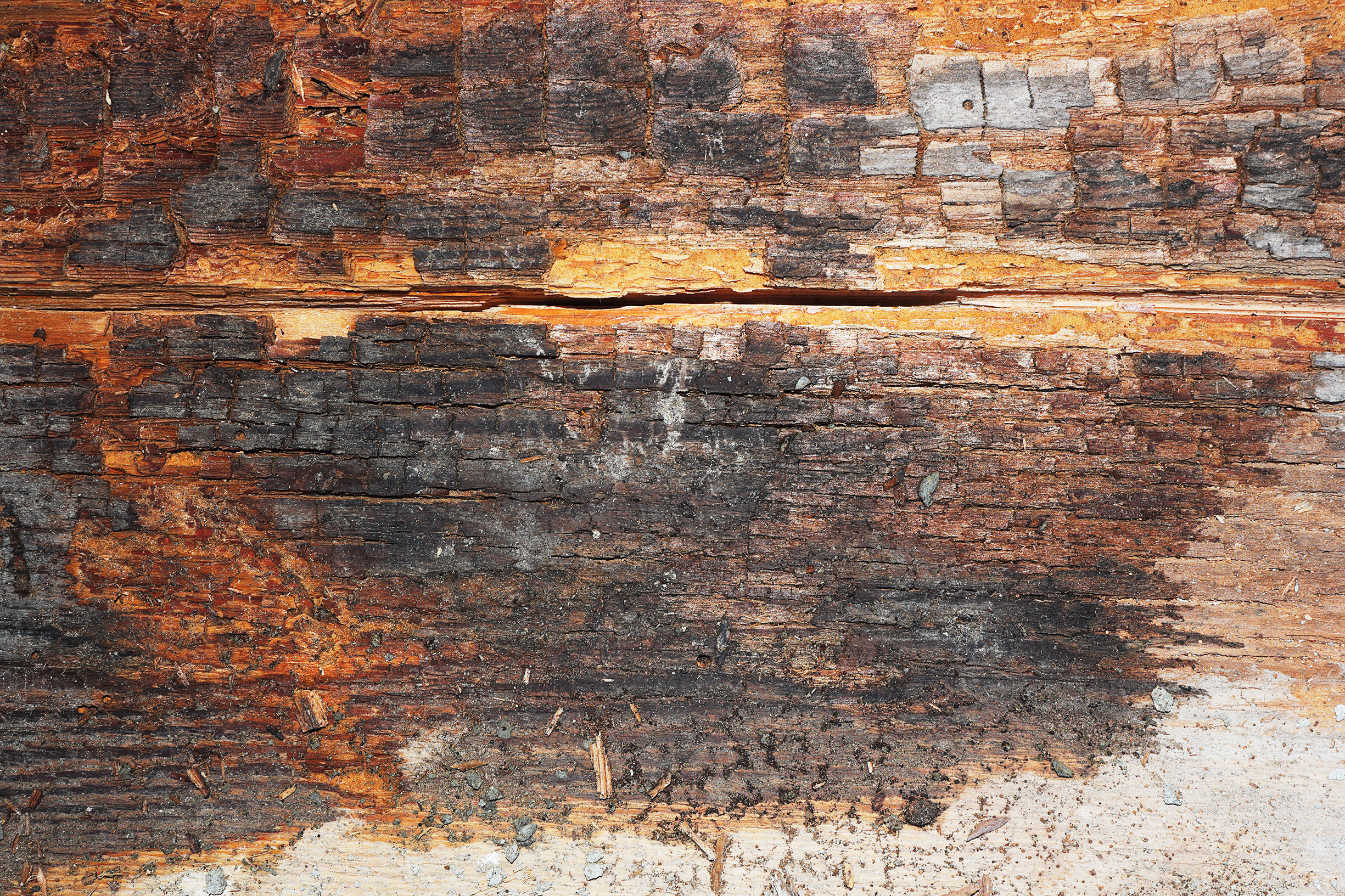 Sympathetic, evidence-based conservation